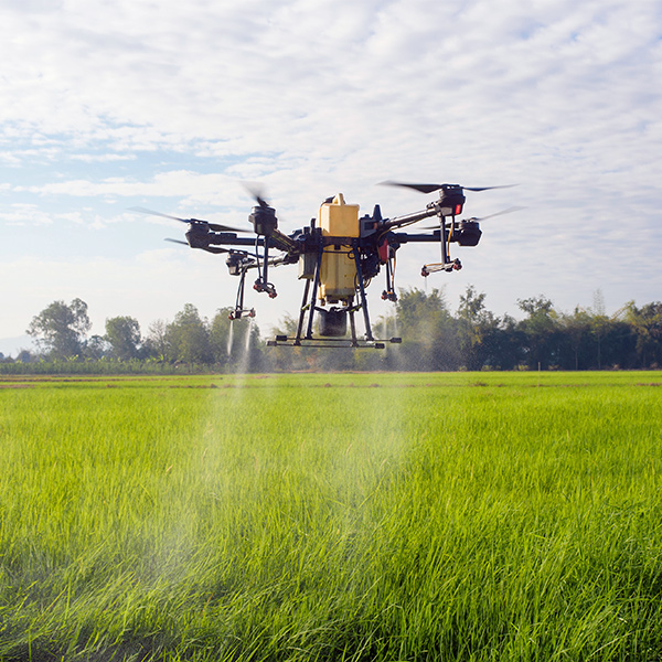 Dron Fumigando Terreno Agricola